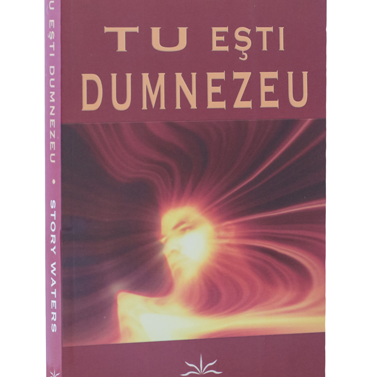 tu esti dumnezeu